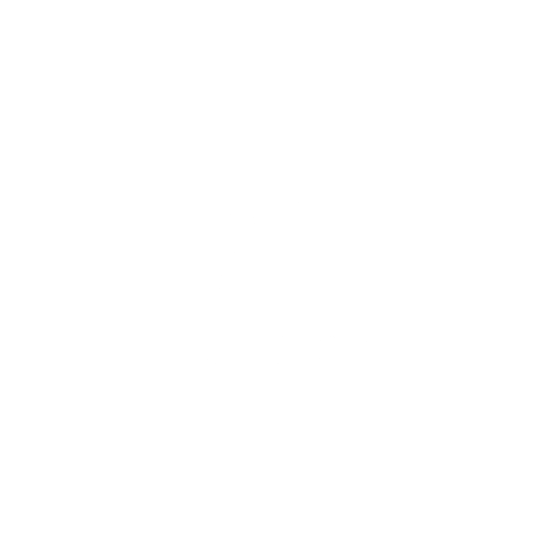 fs (1)