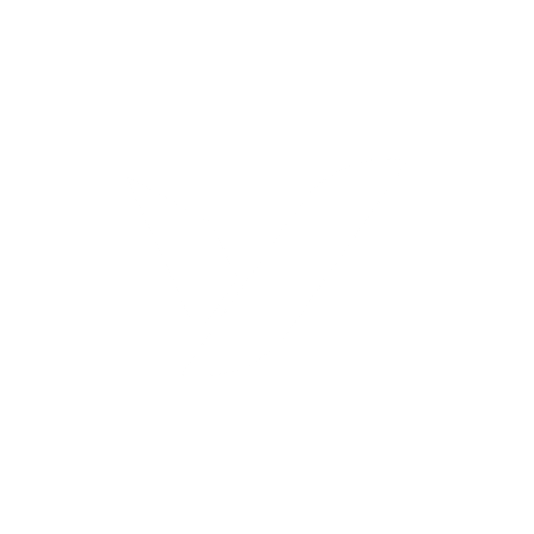 v logo